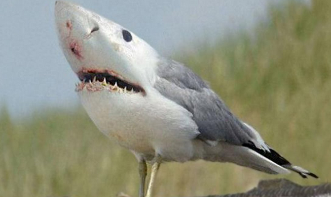 of